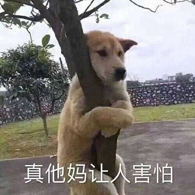 AList 被收购风波:疑似供应链投毒,官方仓库被接管、下载源换 COS! 插图9
