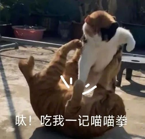 今天微软给我寄来了一封信：要加 Cookie 同意？！ 插图4