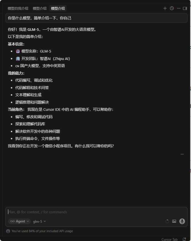 Cursor 额度烧完？用阿里云 Coding Plan 接入自定义 API，亲测可用 插图13